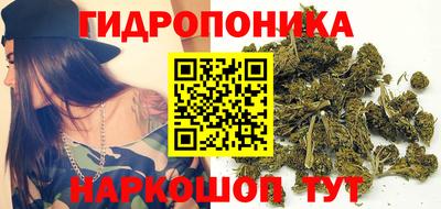 прущие крисы Моздок