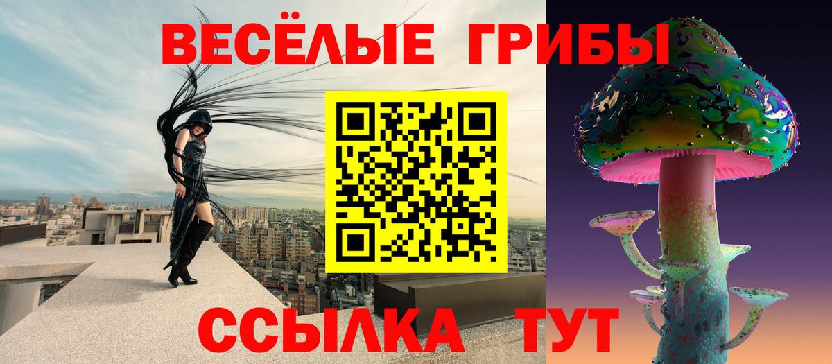 Галлюциногенные грибы Magic Shrooms Томск