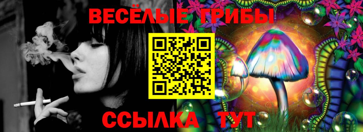 Галлюциногенные грибы Psilocybine cubensis  купить  сайты  Томск  Вход с VPN 